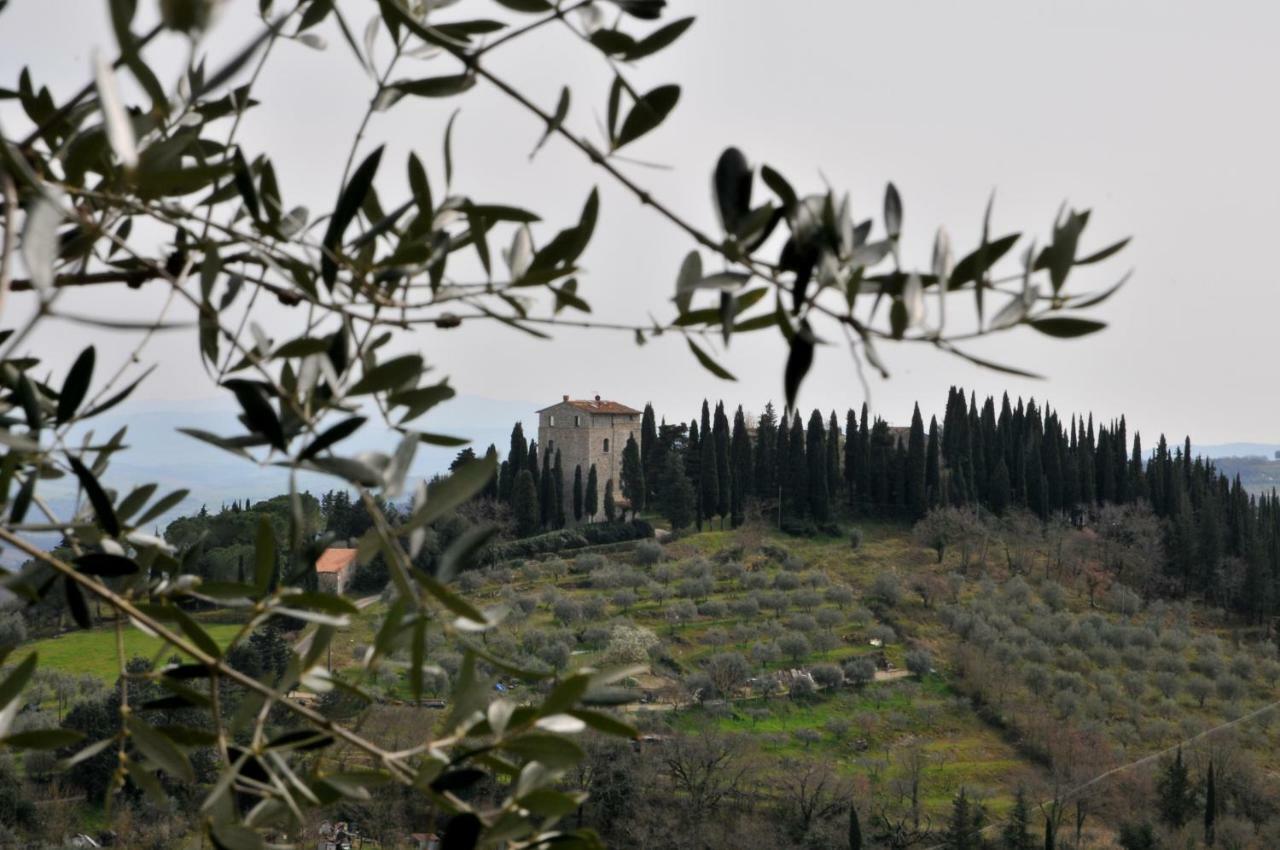 Appartement "La Casa Di Maria Luce" Con Terrazza Panoramica à Gaiole in Chianti Extérieur photo